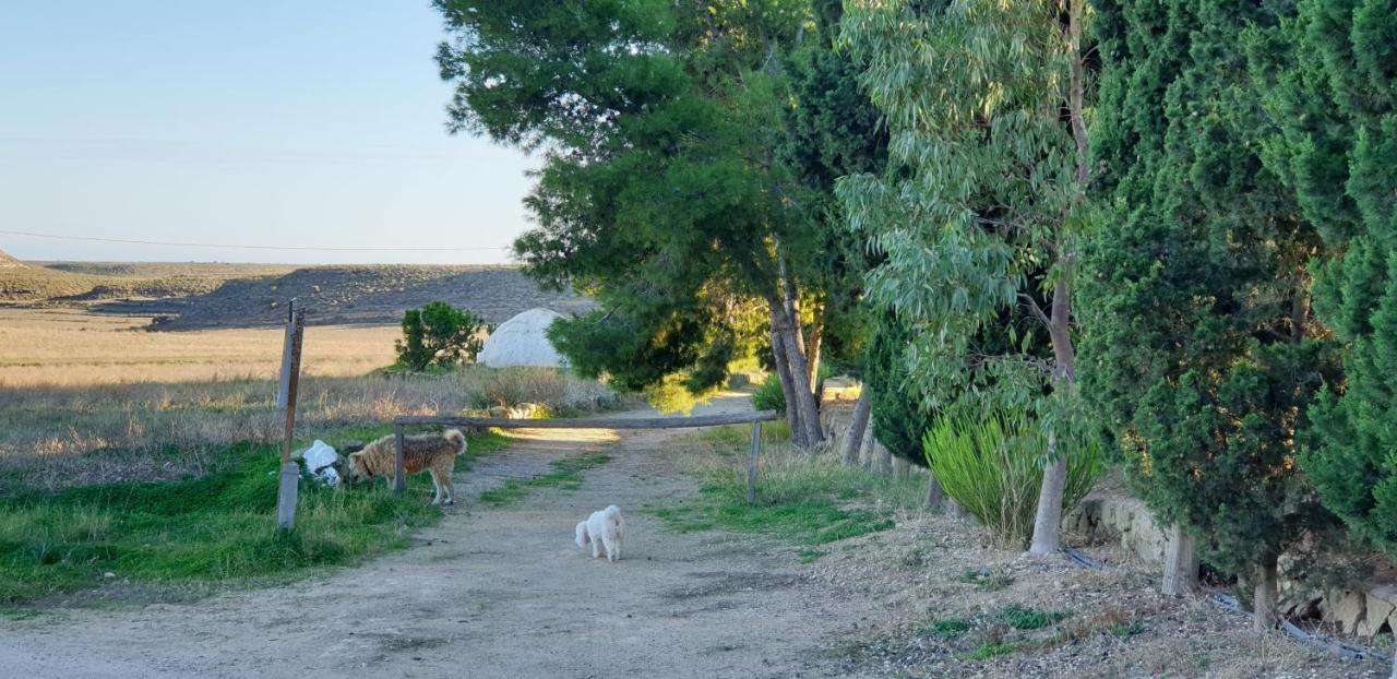 El Molino De Arriba Villa Níjar Exterior foto
